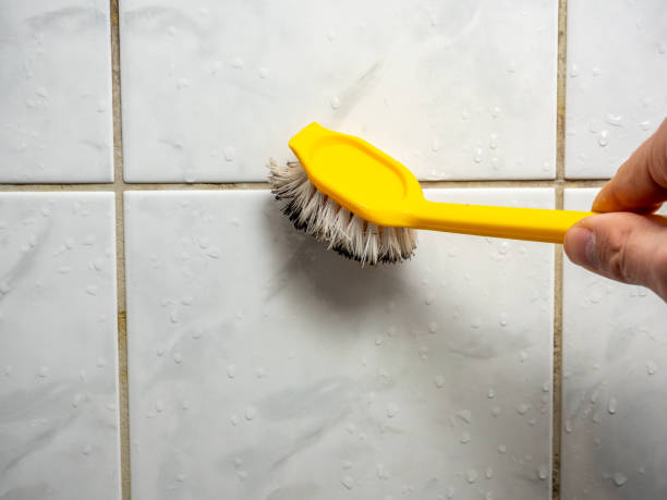 Best Mold Testing  in North Bay Village, FL