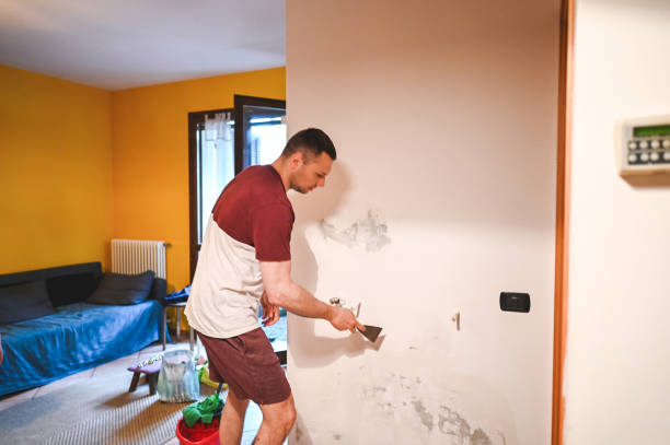 Attic Mold Removal in North Bay Village, FL